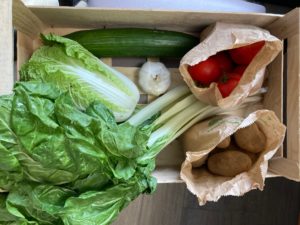 Petit panier de légumes
